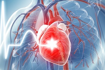 Curso Virtual El laboratorio frente a las enfermedades cardiovasculares: evaluación de factores de riesgo lipídico, no lipídico y de marcadores del evento agudo