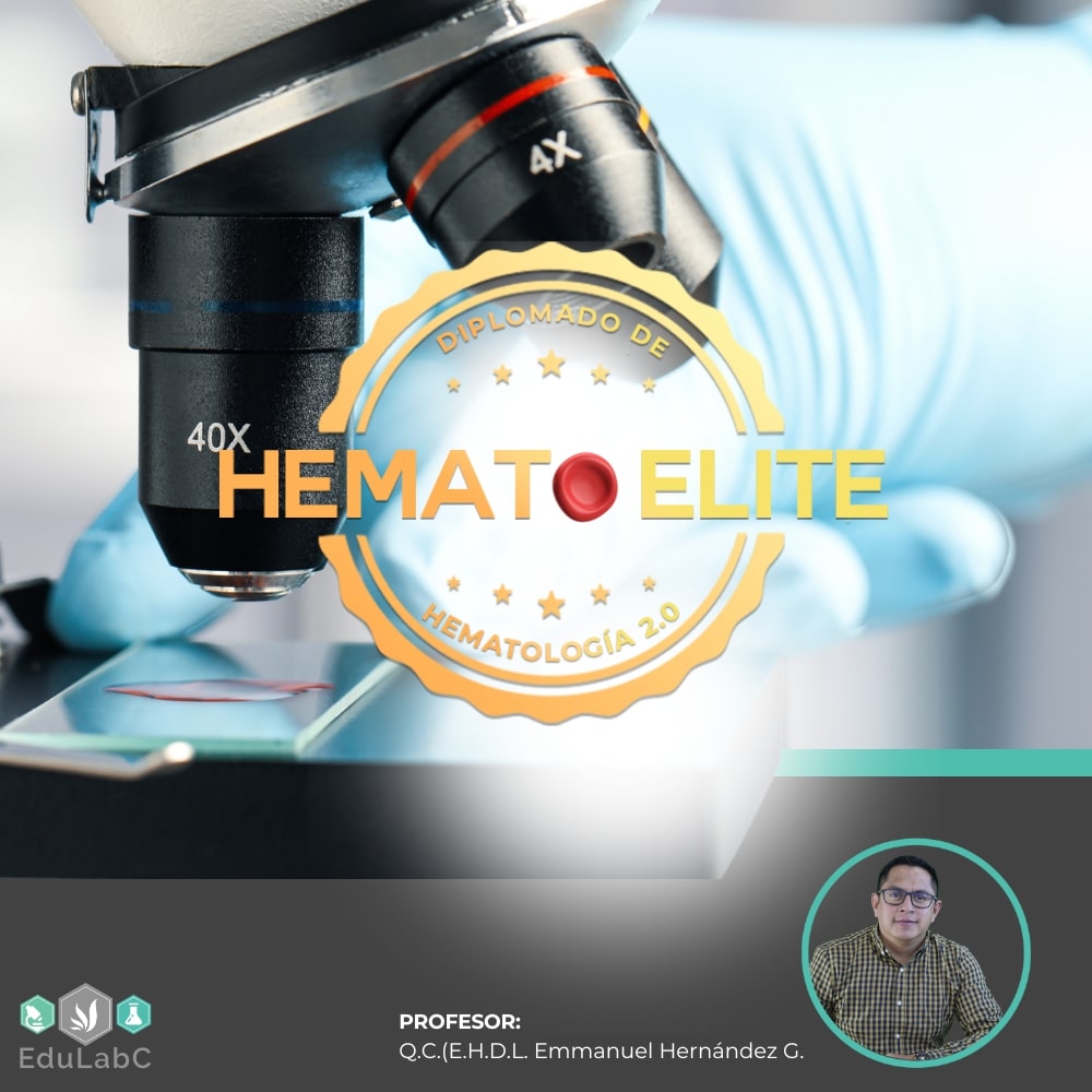 CONVOCATORIA BECA DIPLOMADO EN HEMATOLOGÍA (HEMATOELITE)